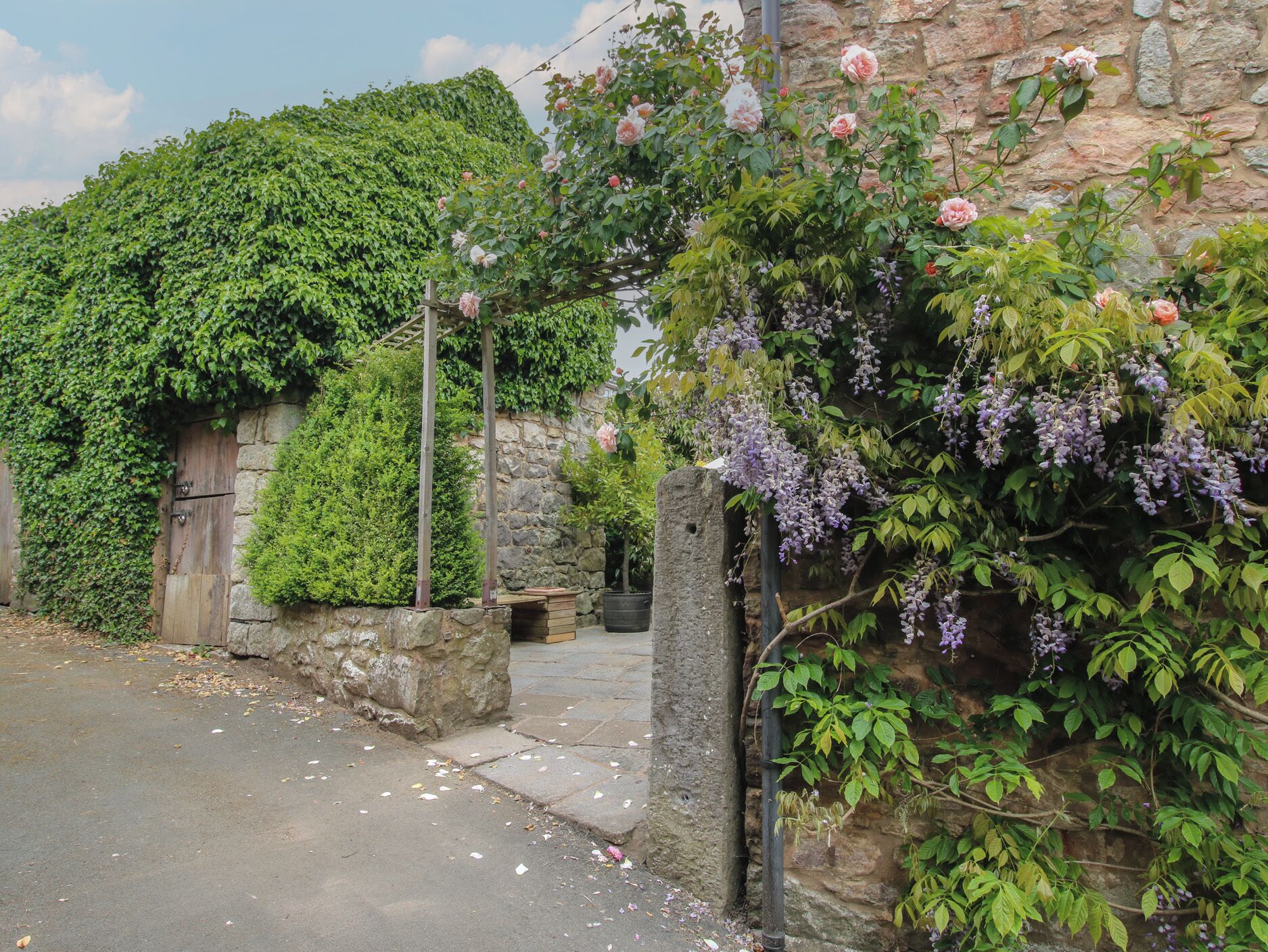 Un mur de pedra amb roses trepadores i glicines, una porta de fusta i un camí pavimentat ple de fulles caigudes.
