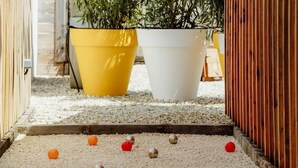Een tuin met een houten omheining, twee grote plantenpotten en gele papieren decoraties.
