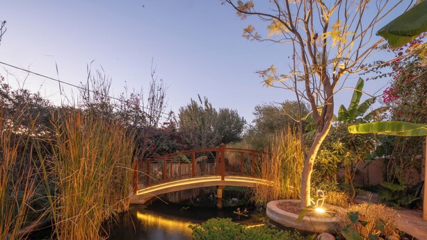 Un pont en bois enjambant une étendue d’eau paisible, entouré d’une végétation luxuriante.