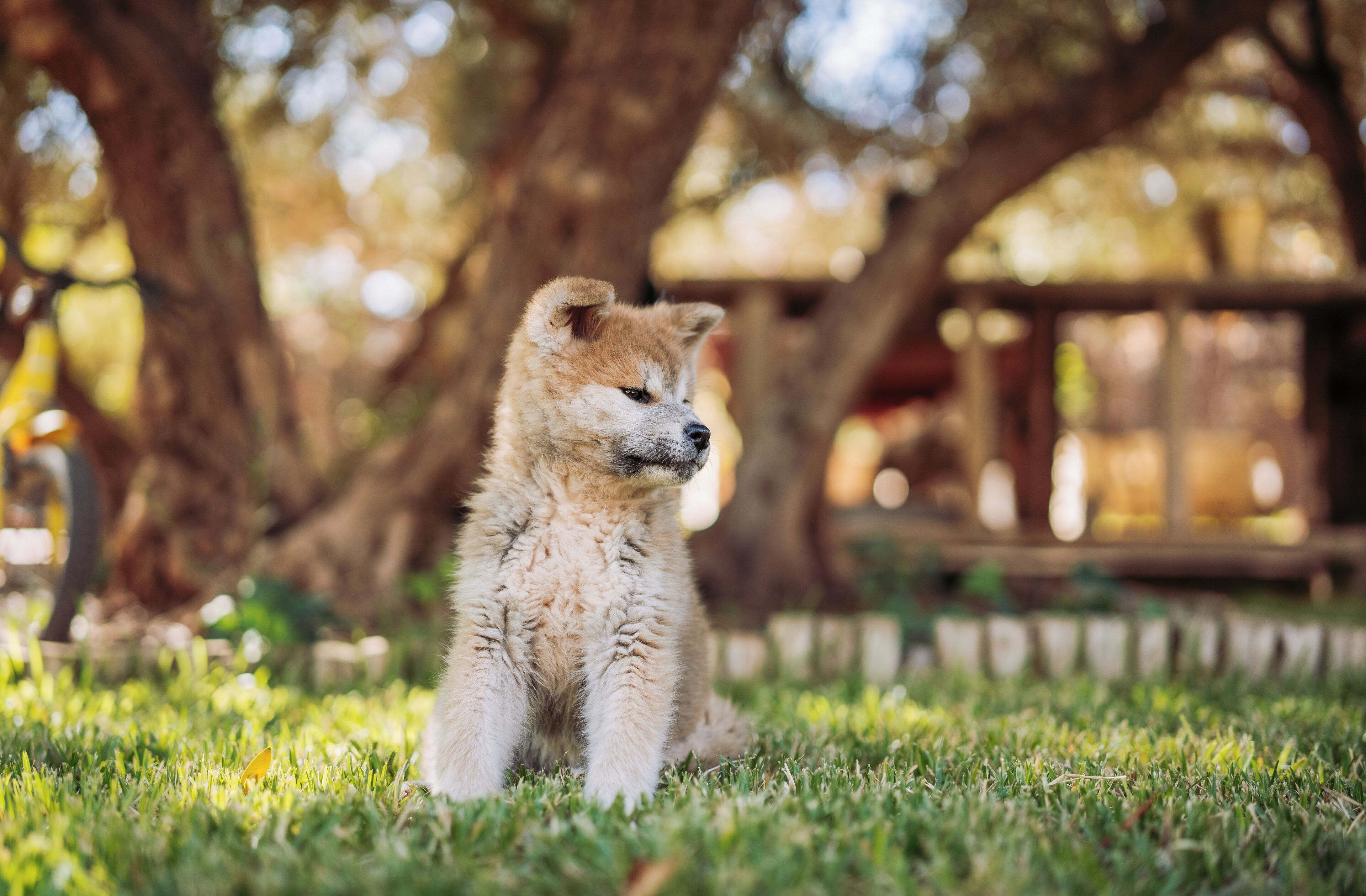 Photo - Jardin Sakina - Séjour paisible avec soins bien-être, à 35 minutes de Marrakech