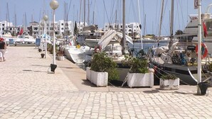 A marina with boats docked, a cobblestone walkway, and buildings in the background.