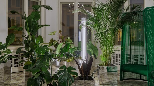 Une vaste pièce agrémentée d’un grand lustre, de nombreuses fenêtres et d’une abondance de plantes d’intérieur.