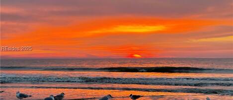 Beach nearby, sun-loungers