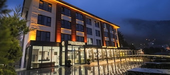 DEMEDERON HOTEL