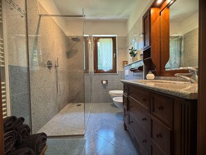 Shower, hair dryer, bidet, towels