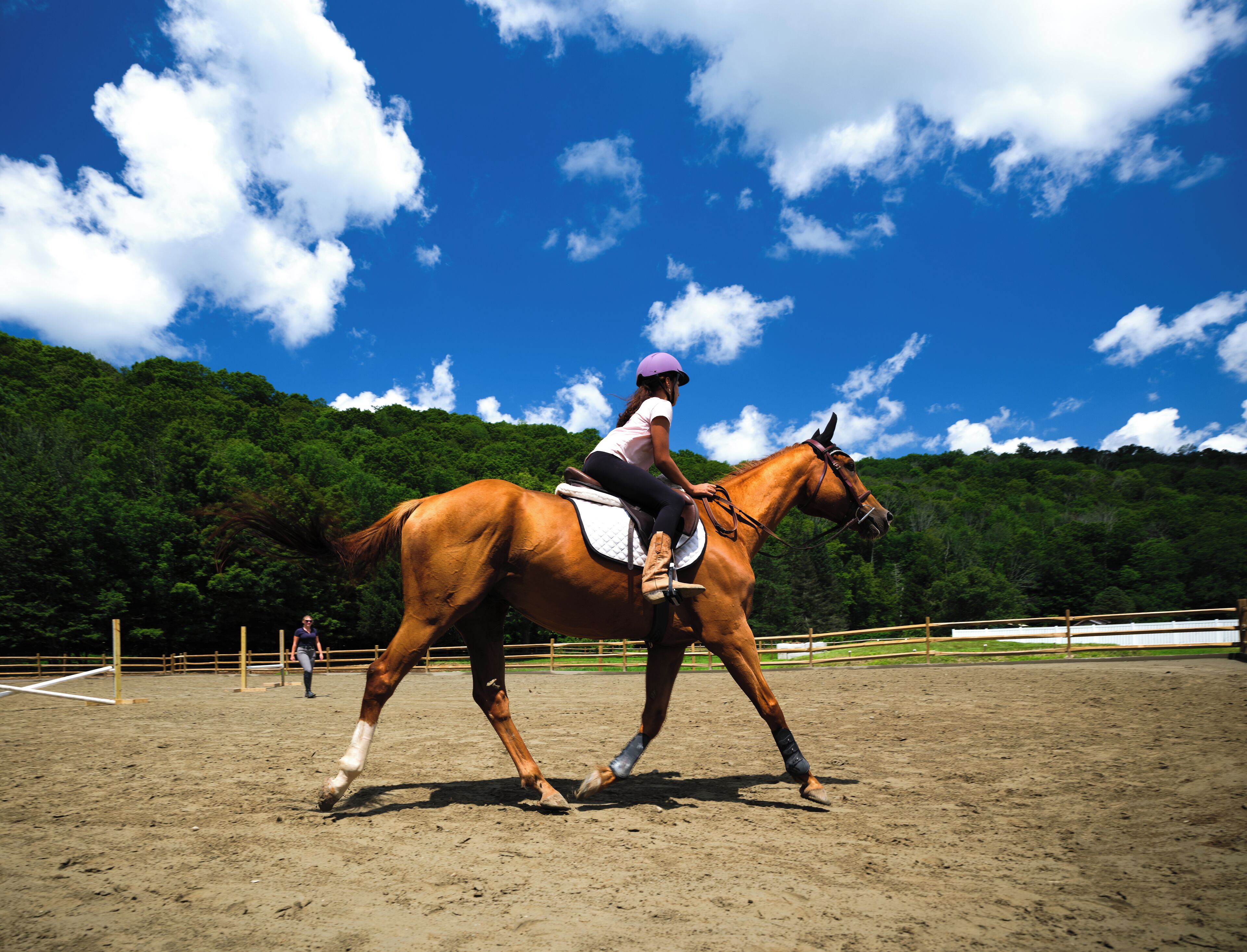 A person riding a horse in an outdoor arena with a dirt floor and a wooden fence.