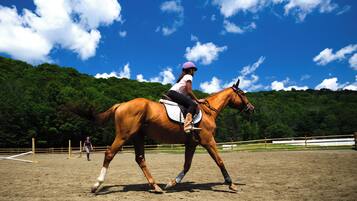 A person riding a horse in an outdoor arena with a dirt floor and a wooden fence.