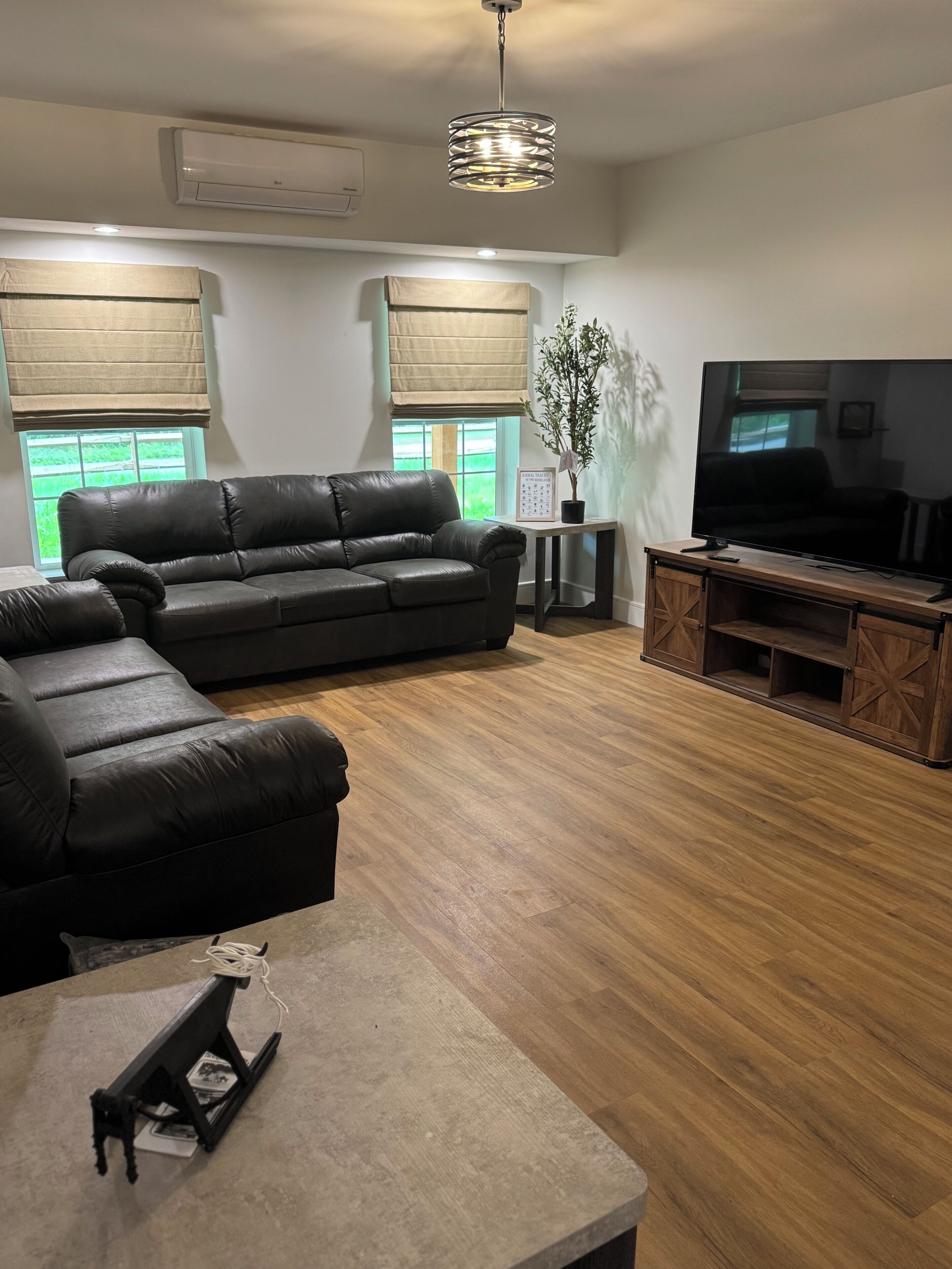 Una sala de estar con un sofá, una mesa de centro, un mueble para televisión y una planta.