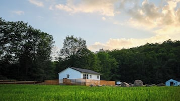 Bunk House, Pets Allowed | 熨斗/熨衣板、免費無線上網
