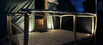 Yurt rental 2 / 4 / 6 persons