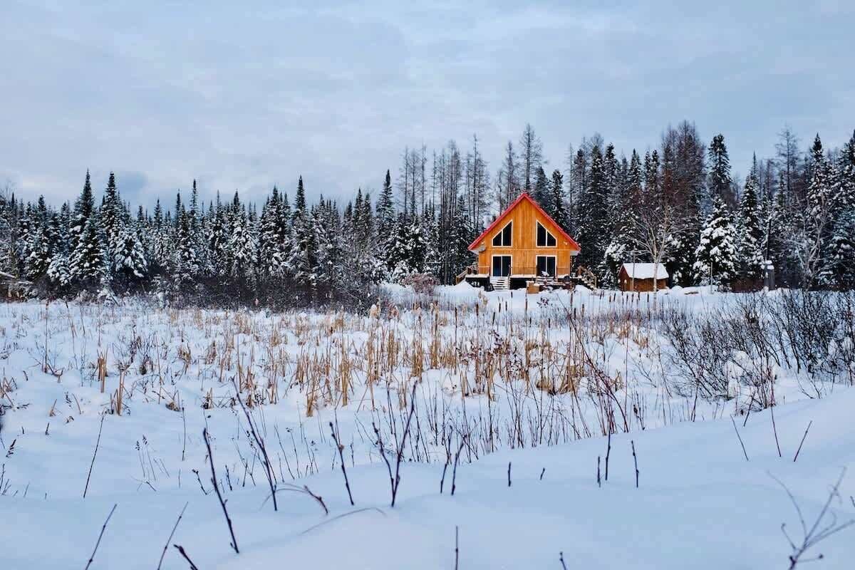Imagen de perfil del propietario o de la propietaria