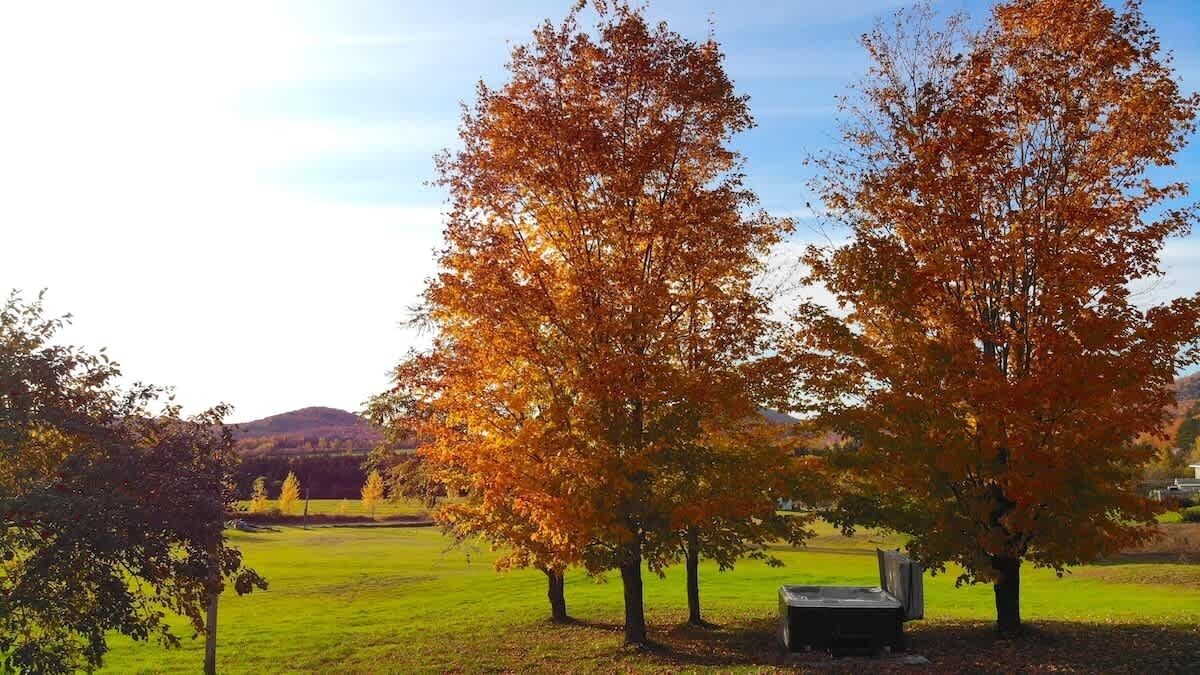 Beautiful country landscape, ideal for outdoor activities