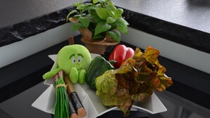 A kitchen counter with a plush toy, a potted plant, a red bell pepper, a bunch of green onions, and a head of lettuce. - Ultra-modern penthouse apartment (Brunnthal)