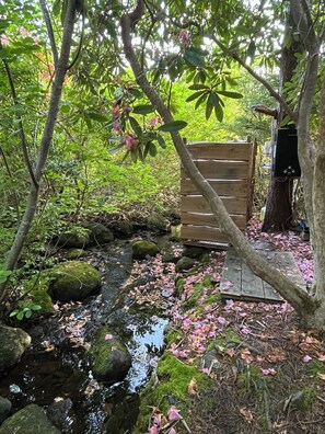 Property grounds - Historic 1785 Cape on 46 Forest Acres/ Water View/Pet Friendly (Rose Bay)