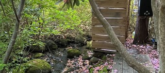 Historic 1785 Cape on 46 Forest Acres/ Water View/Pet Friendly