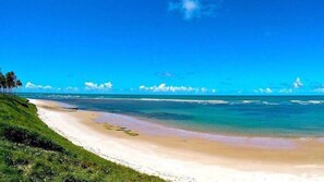 Plage à proximité, chaises longues, serviettes de plage