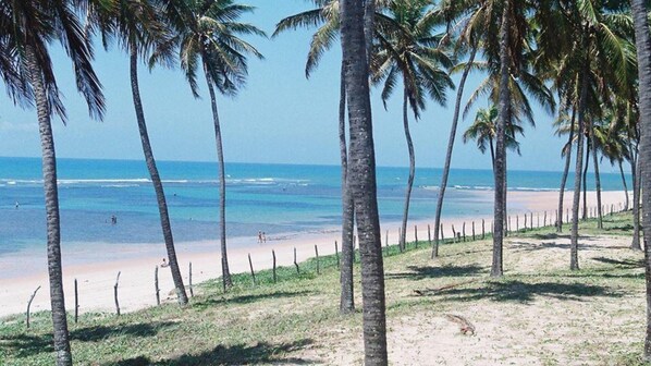 Plage à proximité, chaises longues, serviettes de plage