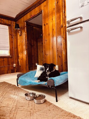 A wooden interior with a dog bed, two metal bowls, and a refrigerator.