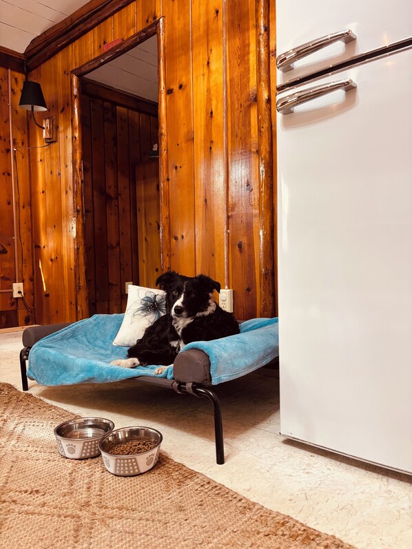 Une pièce chaleureuse avec un décor intérieur en bois, un panier pour animaux de compagnie avec une couverture, et deux gamelles en métal posées sur un tapis texturé.