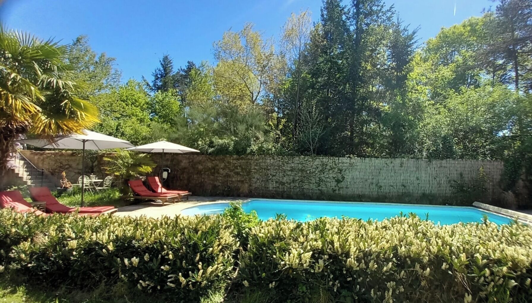 A swimming pool with red lounge chairs and umbrellas, surrounded by lush greenery and a stone wall.