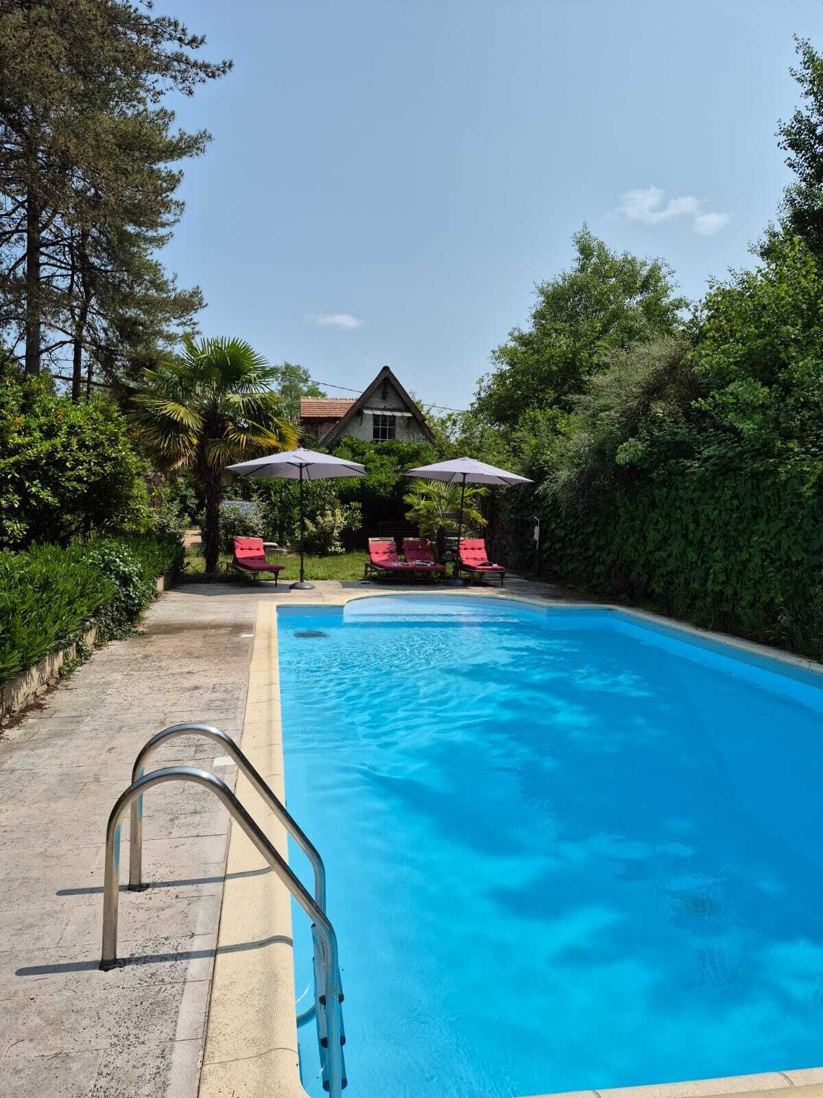 A swimming pool with a metal ladder, surrounded by lush greenery and red lounge chairs.