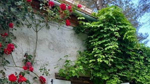 A white building with a door and windows, surrounded by greenery and red flowers.