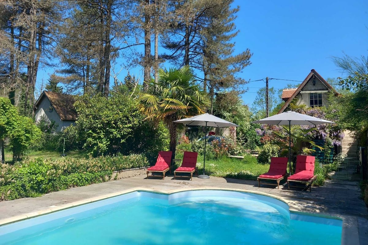 A swimming pool with red lounge chairs and umbrellas, surrounded by lush greenery and tall trees.