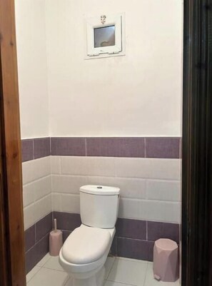 Regadera y bidet