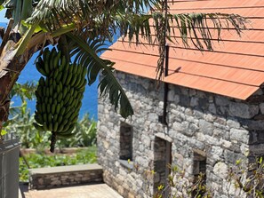 Blackout curtains, soundproofing, free WiFi - CASAS DO LARANJO- Cottages Infinity Pool by brugrani (Santa Cruz)