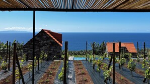 A vineyard with rows of grapevines under a wooden pergola, overlooking a coastal view with a stone building and a clear blue sky. - CASAS DO LARANJO- Cottages Infinity Pool by brugrani (Santa Cruz)
