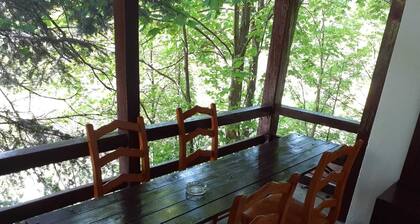 Pensiunea Szurdok - Antonia Panzió