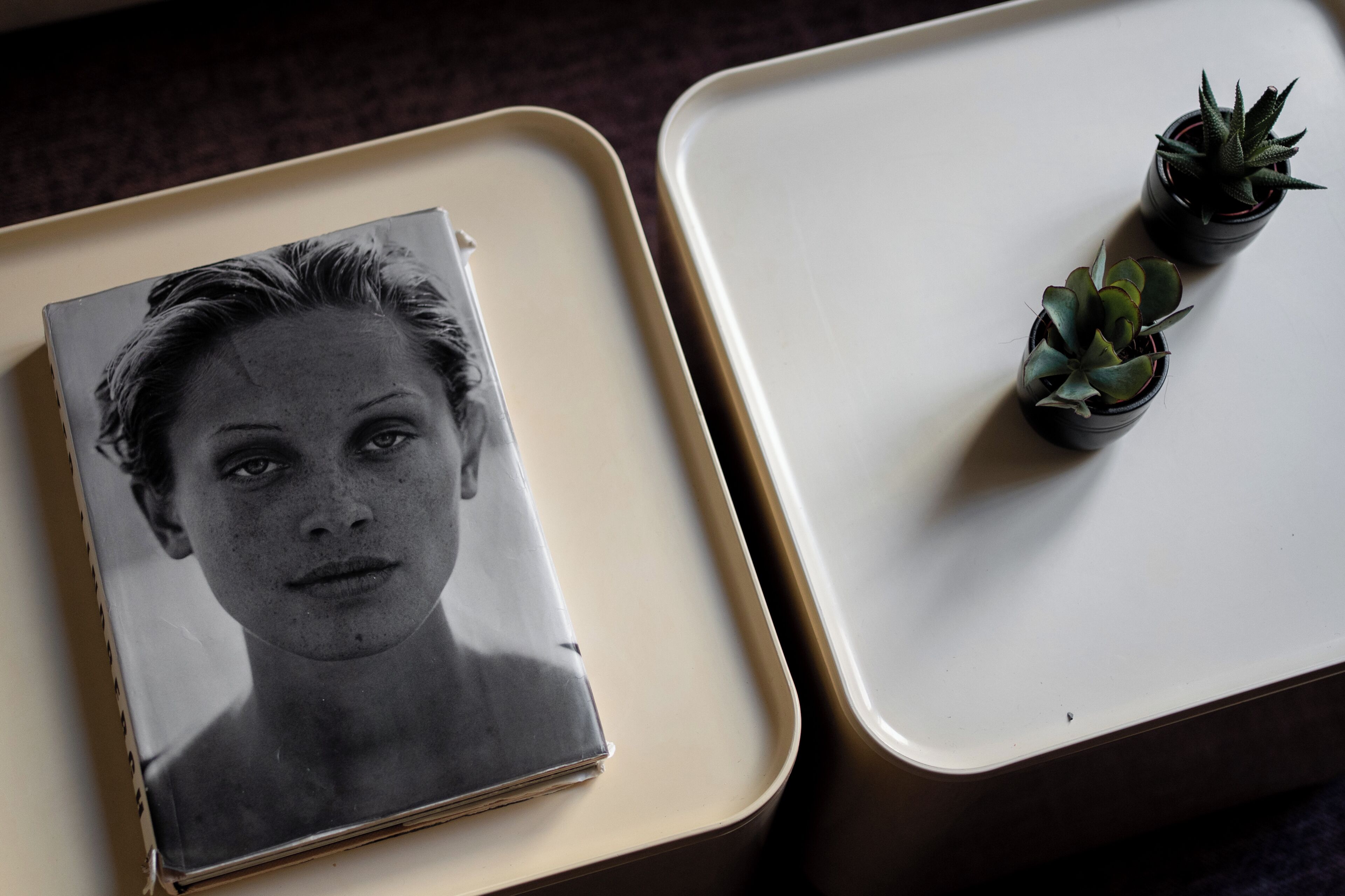 Two trays, one with a book and the other with small potted plants.