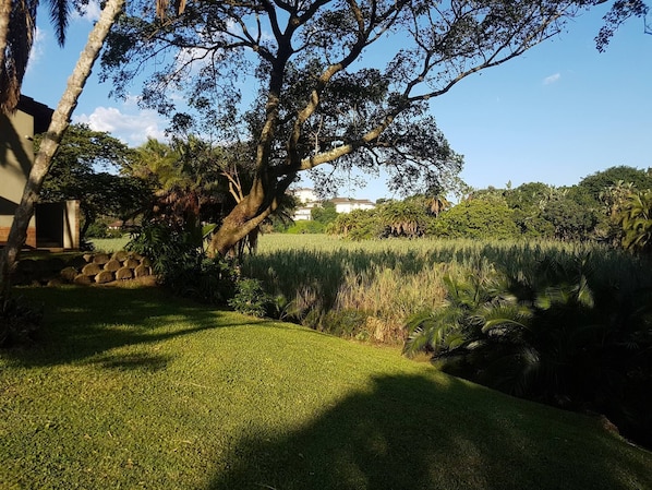 House, 3 Bedrooms, Accessible, Smoking | Garden