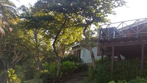 Ein Haus mit einer Holzterrasse und einem Garten mit verschiedenen Pflanzen und Bäumen.