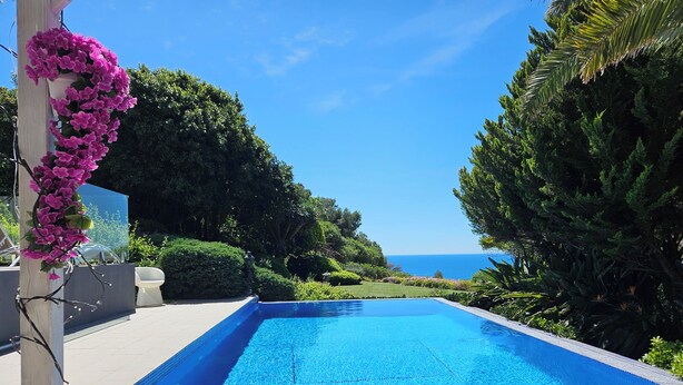 Una piscina rectangular con agua azul cristalina, rodeada de exuberante vegetación y vistas al mar.