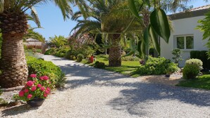 Un sendero de jardín que conduce a una casa con palmeras y plantas con flores.