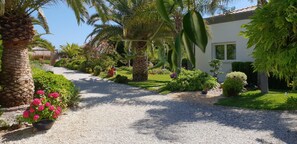Property grounds - Bright, modern villa set in wooded garden with magnificent sea view (Unknown)