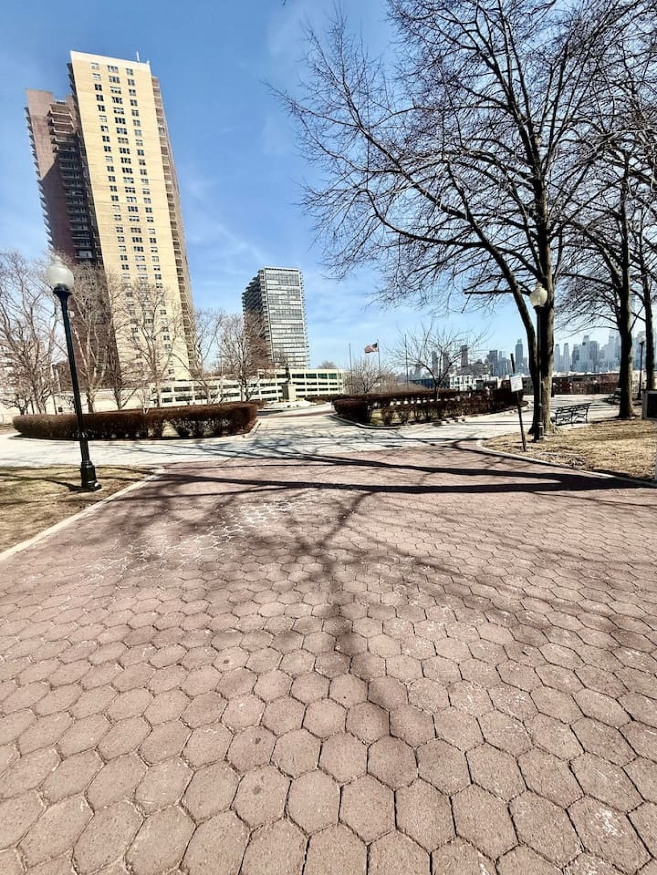A paved walkway with hexagonal tiles, surrounded by leafless trees and a tall building in the background.