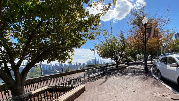 A paved walkway with a metal railing, a tree, and a parked car.