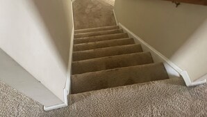 A carpeted staircase with white walls and a wooden handrail. - This property is not available any longer sorry for inconvenience (Moncks Corner)