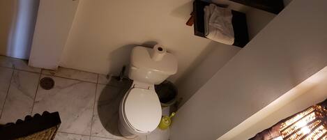 A bathroom with a toilet, a sink, and a mirror.