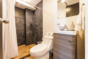 Secadora de cabello, toallas, jabón, papel de baño