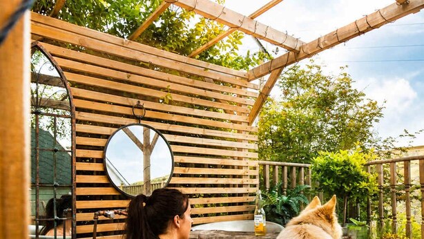 A person in a hot tub with a dog nearby, under a wooden pergola with a mirror.