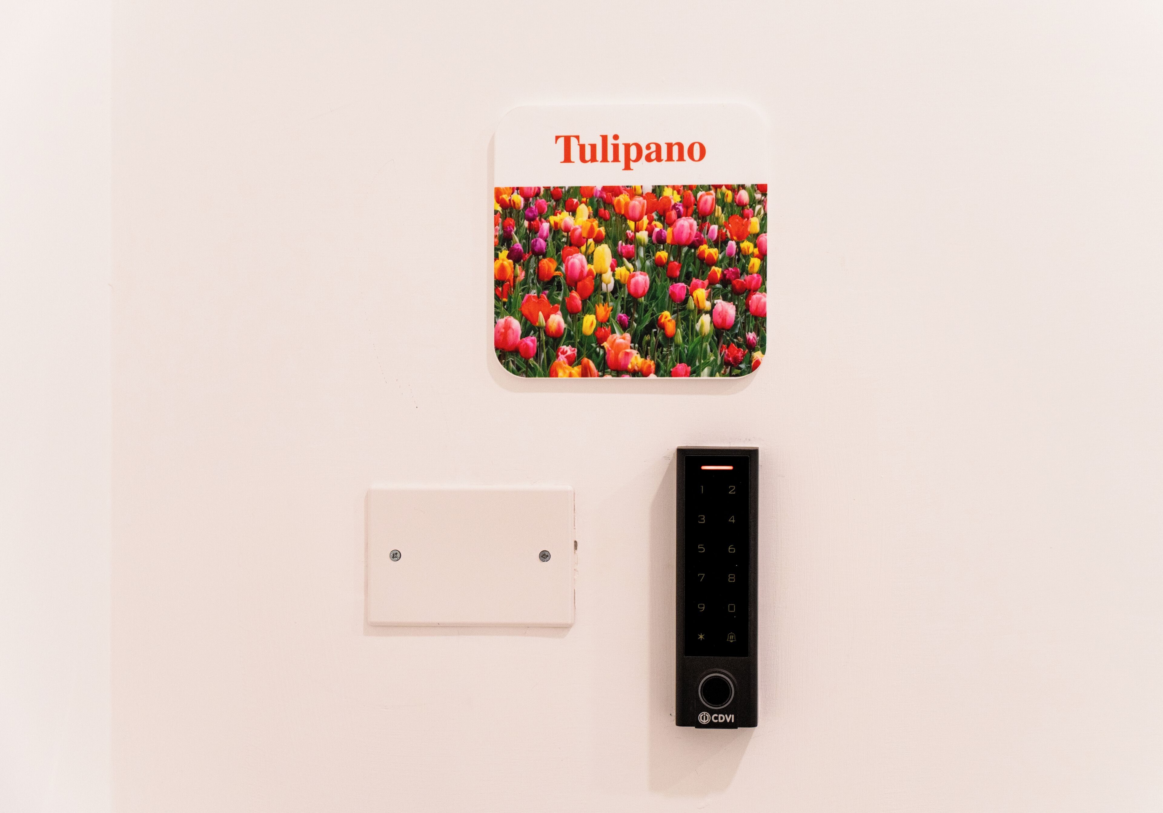 A wall-mounted control panel with a keypad and a button, a light switch, and a picture of tulips.