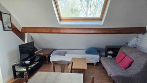 Un espacio tipo loft con tragaluz, una cama, un sofá, un televisor y una mesa de comedor.