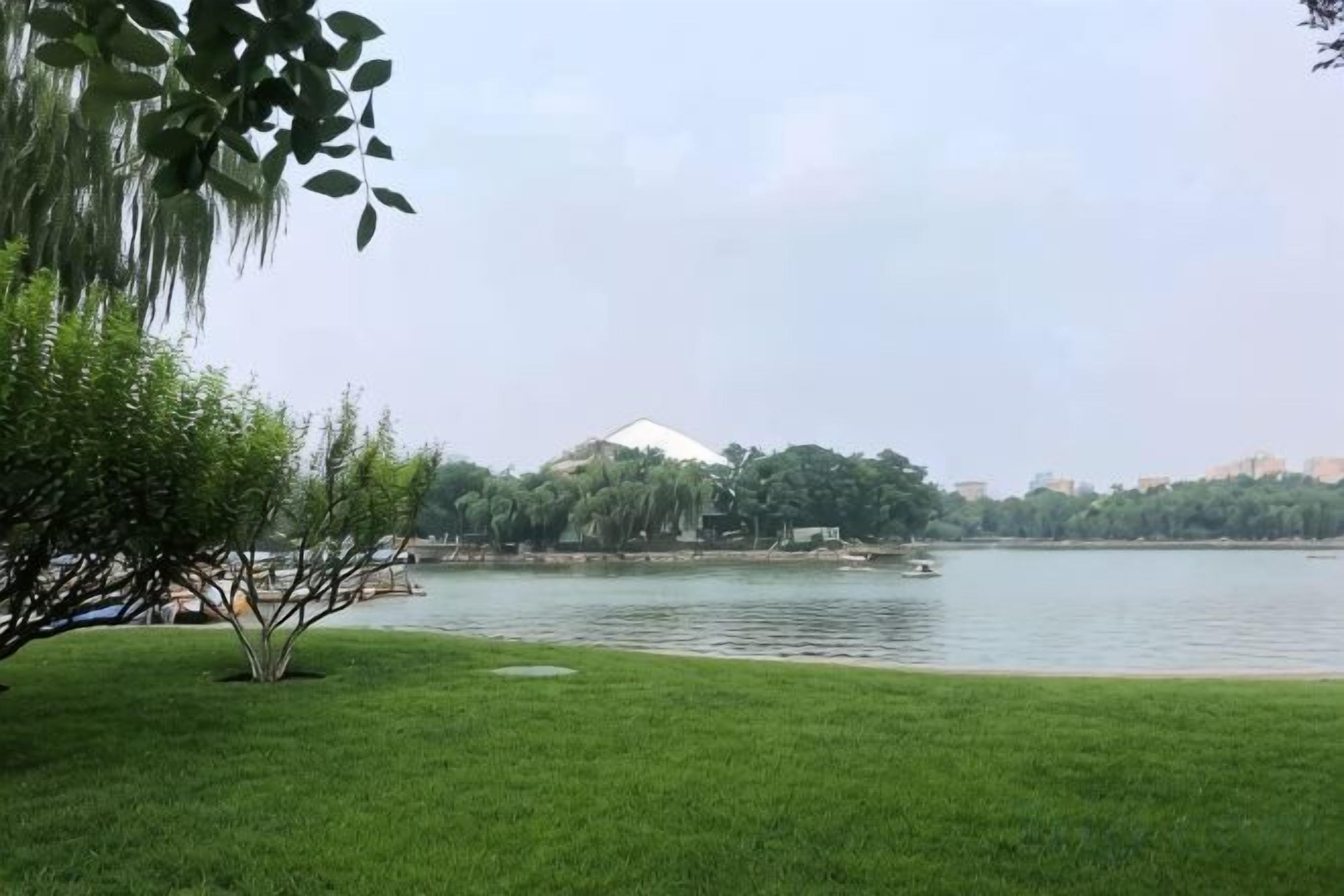 Um parque com gramado e um corpo de água.
