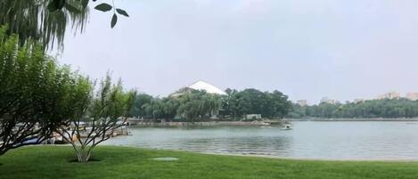 A park with a grassy area and a body of water.