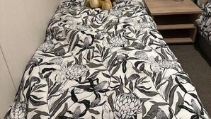 A bed with a floral bedspread, a wooden headboard, a nightstand with a lamp, and a framed certificate on the wall. - Mollys Lodge (Ryde)