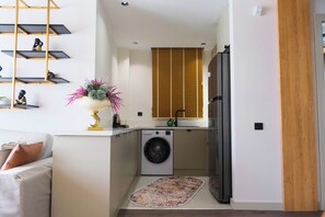 Family Apartment, Balcony, City View | Private kitchen | Full-size fridge, microwave, stovetop, coffee/tea maker