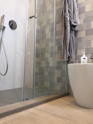 Shower, hair dryer, bidet, towels